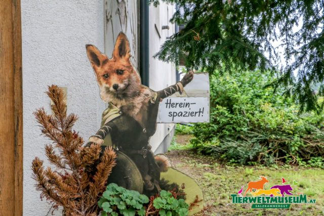 A fox is sitting on a sign that says "sprechen sie englisch